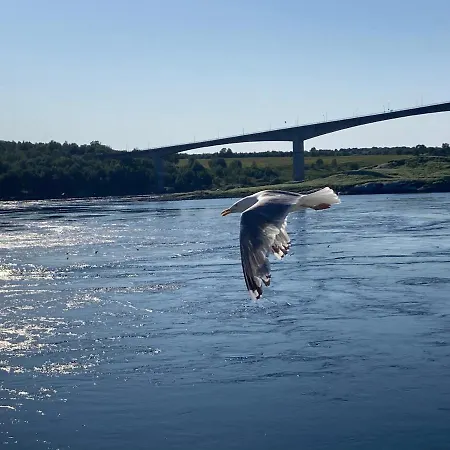 منزل للإقامة Koselig Rom Med Stue I Sentrum *