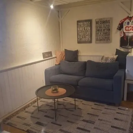 Koselig Rom Med Stue I Sentrum * Μπόντο